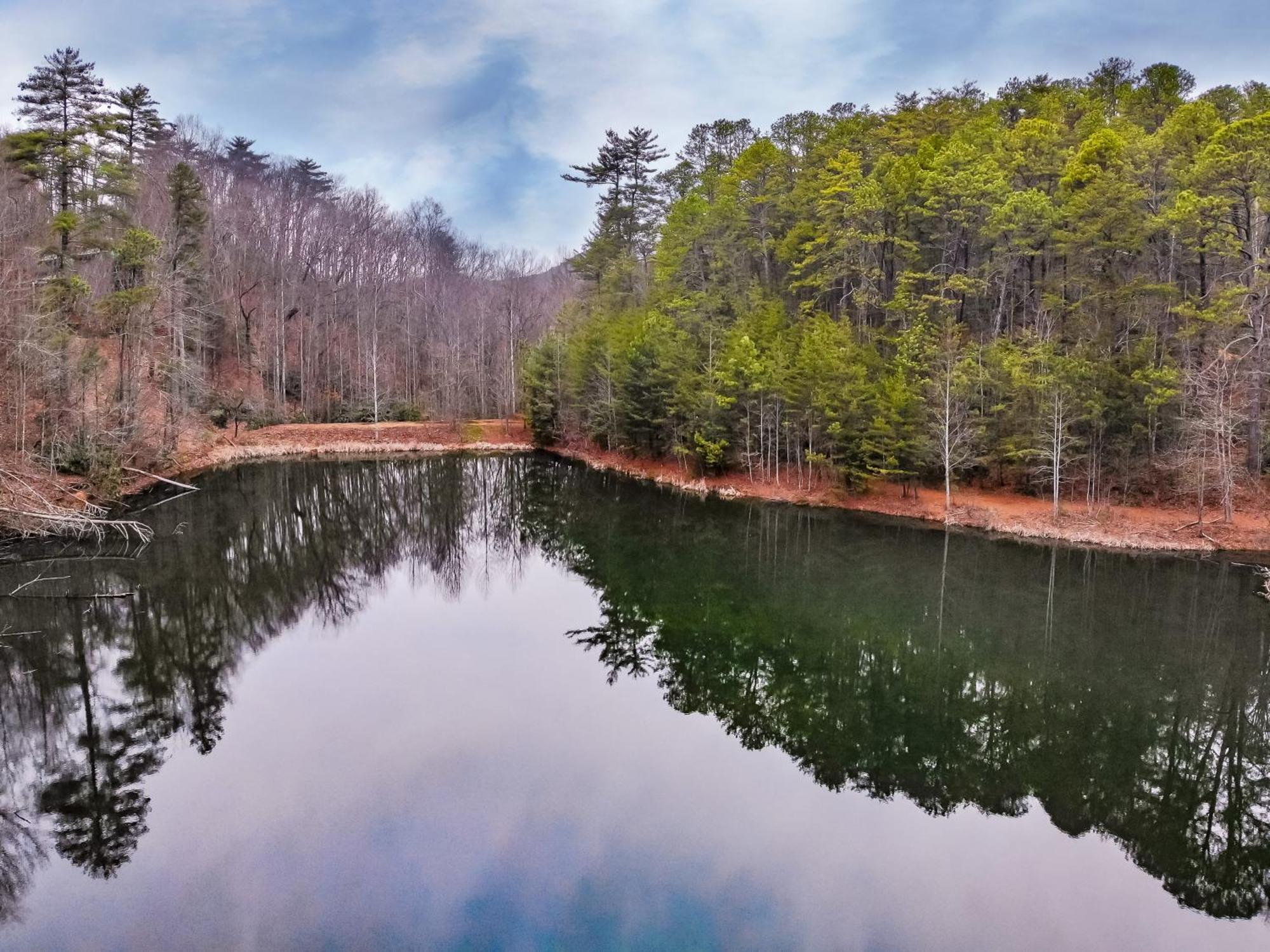 Alpine Joy-Hot Tub, Pond Access ,1089 Of Free Tickets For Each Paid Day, Dollywood And More! تاونسيند الغرفة الصورة