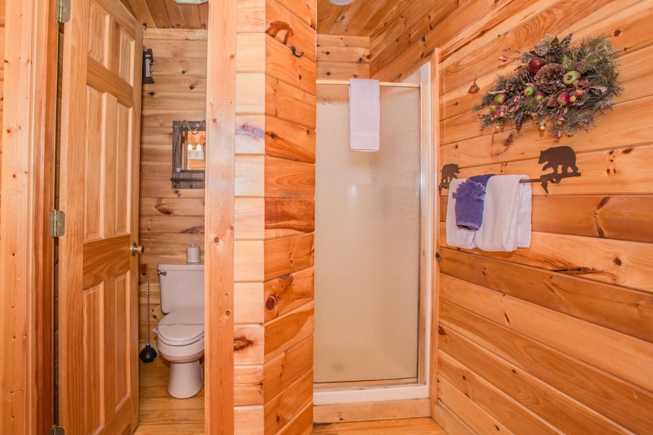 Alpine Joy-Hot Tub, Pond Access ,1089 Of Free Tickets For Each Paid Day, Dollywood And More! تاونسيند المظهر الخارجي الصورة