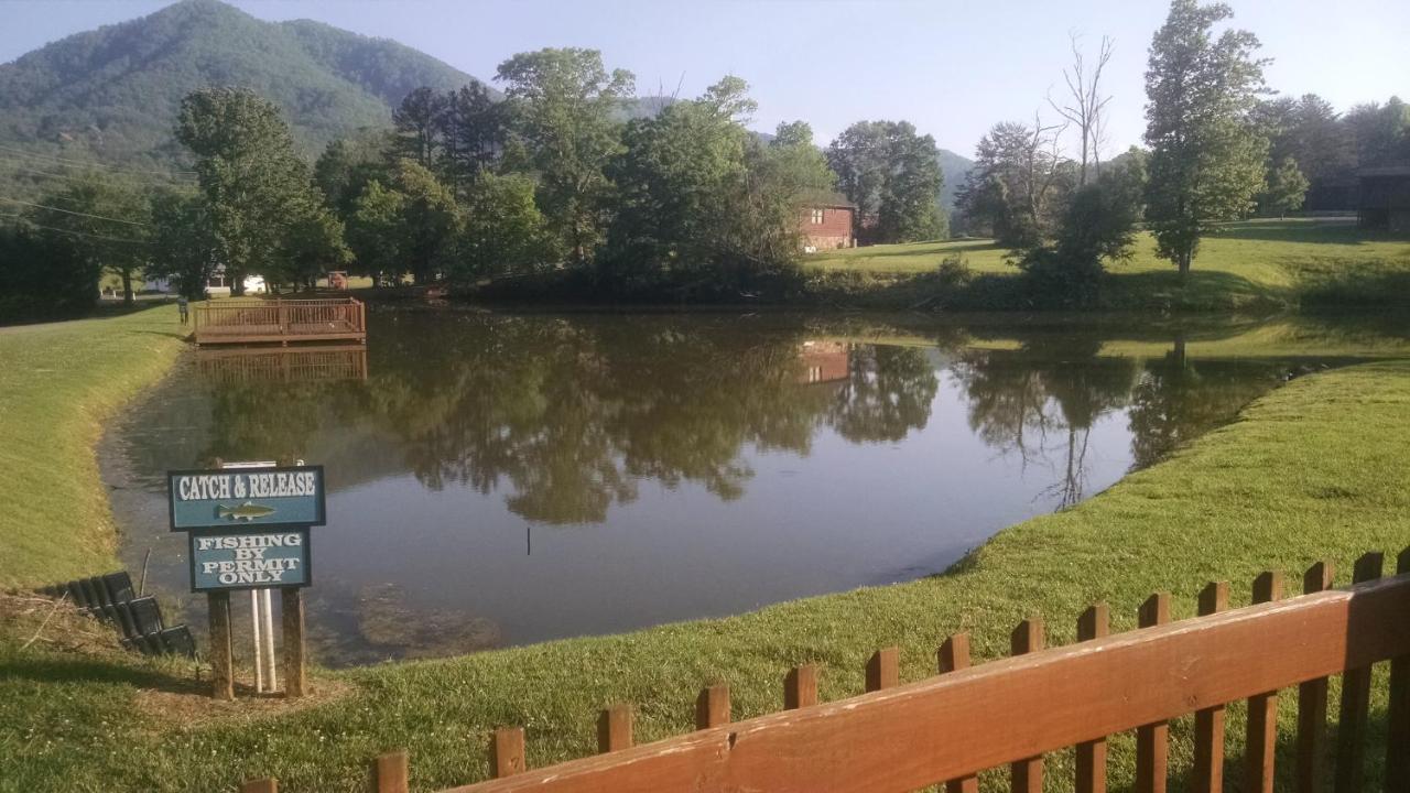 Alpine Joy-Hot Tub, Pond Access ,1089 Of Free Tickets For Each Paid Day, Dollywood And More! تاونسيند المظهر الخارجي الصورة